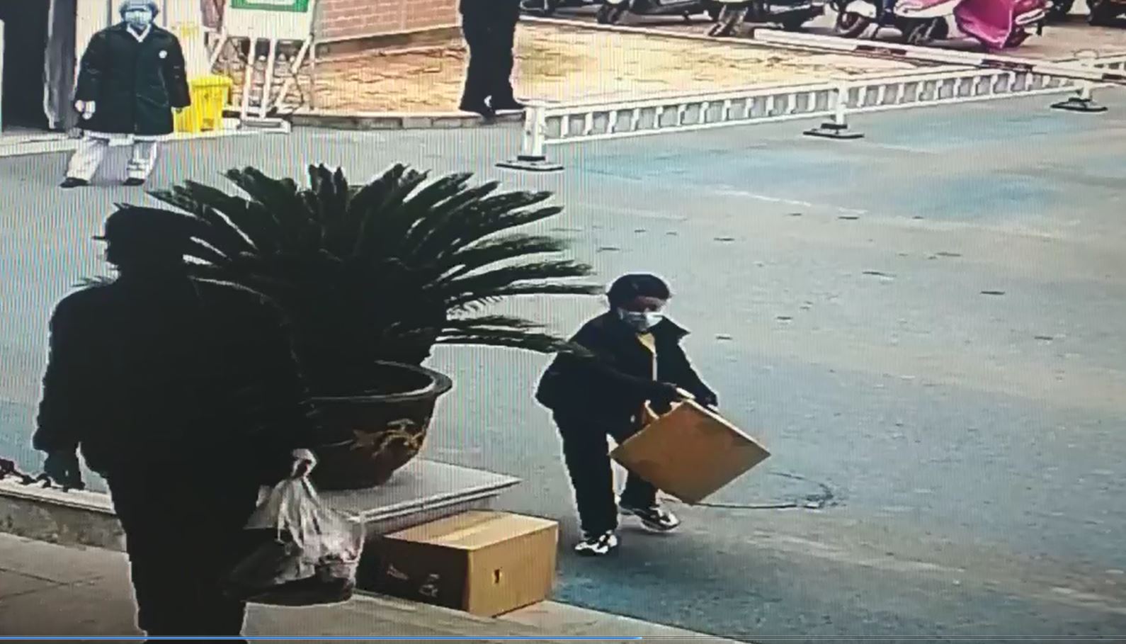 捕獲5