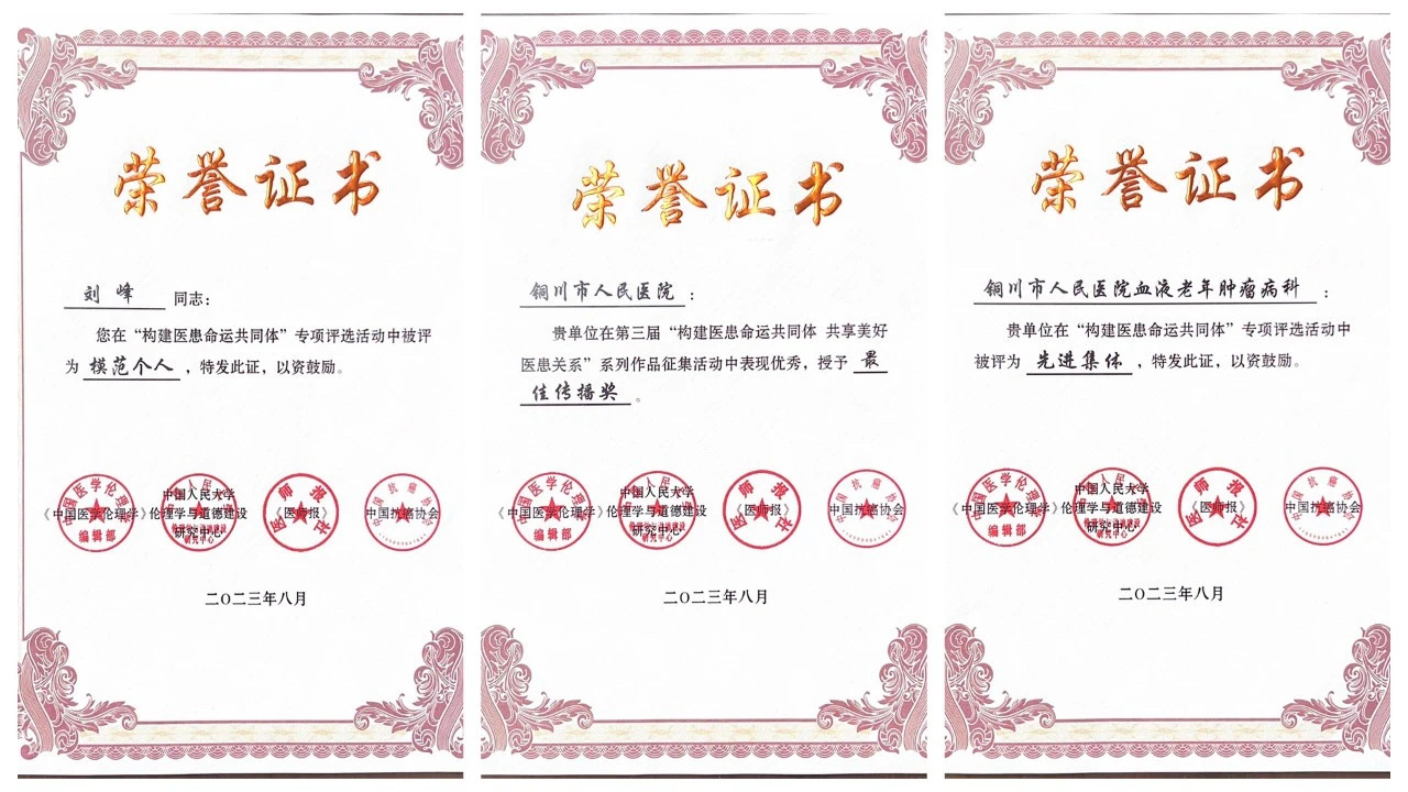 圖片 12